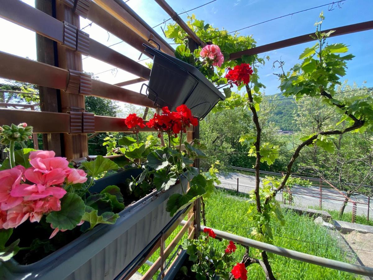 Apartman Verona Бузет Екстериор снимка